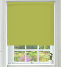 Primero Vine Green - Blackout Roller Blind