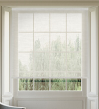 Bentley Ivory - Sheer Voile Roller Blind