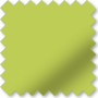 Cambridge Saf+ Lime Green - Fire Retardant & Moisture Resistant Blackout Roller Blind