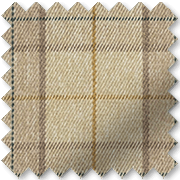 Swatch Image